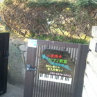 小宮尚子ピアノ教室