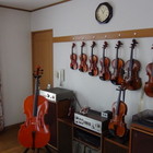 カンタービレ バイオリン・ビオラ教室