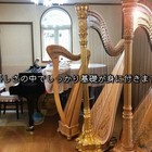 ピアノ ハープ ひまわり音楽教室